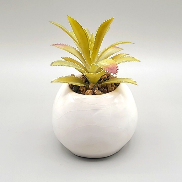 Skull Planter with Faux Plant - Picture 3 of 6